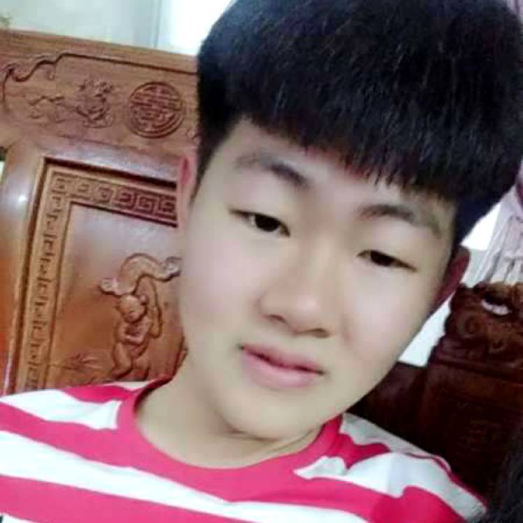 达笨蛋的照片