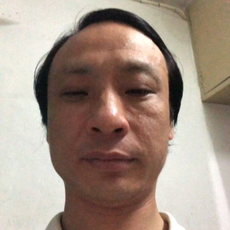 黑猫现实的照片