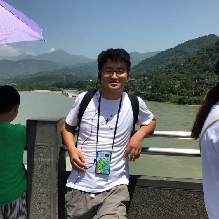 漠然請乌龟的照片
