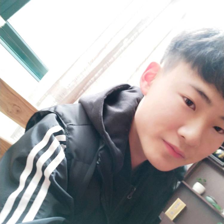 炸河马的照片