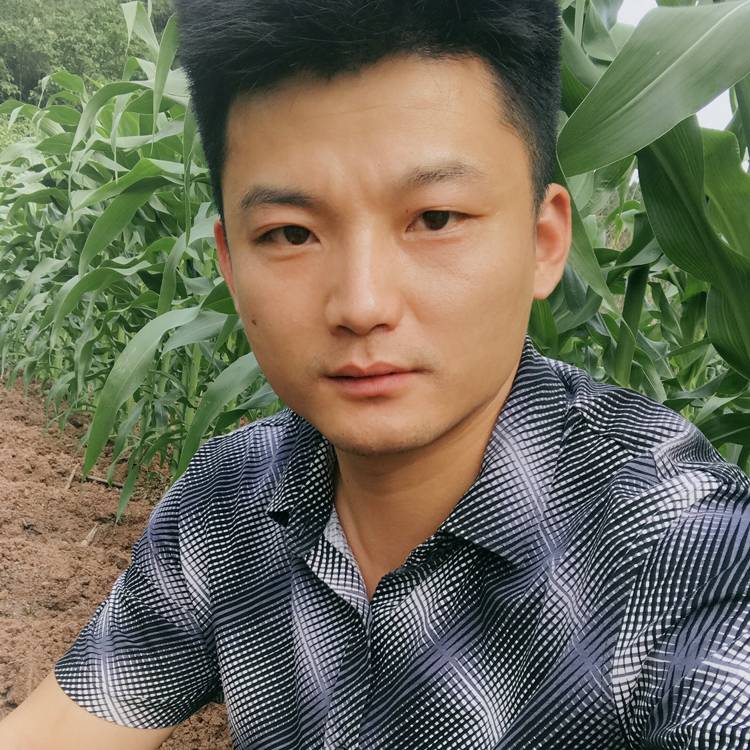 忧心有草莓的照片