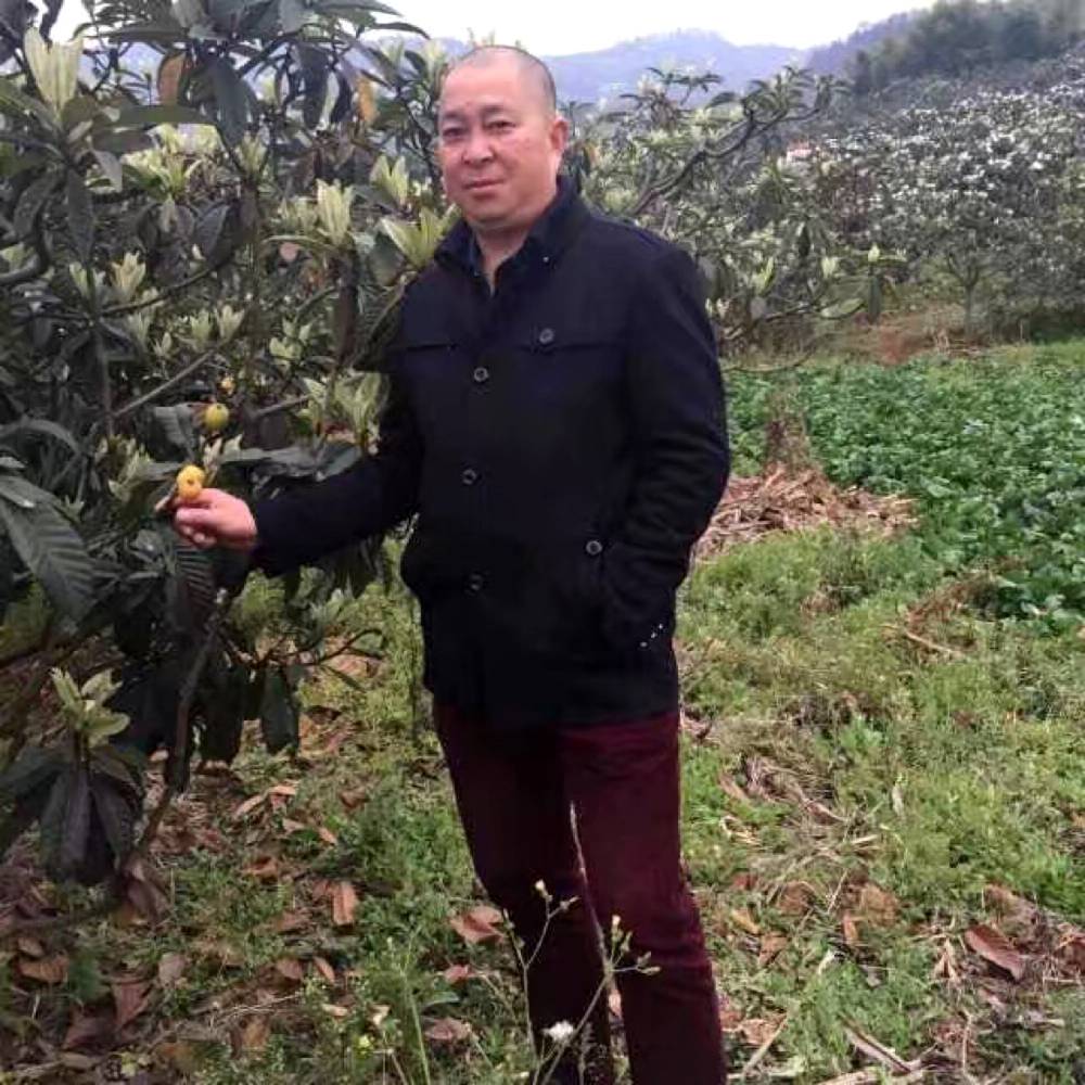 美好的明天更辉煌的照片