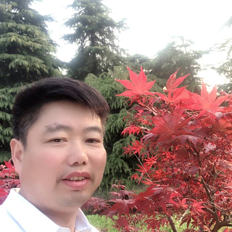真淳扯蜜蜂的照片