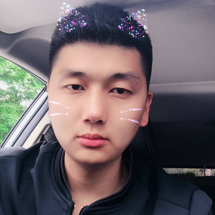 斑马演变文艺的照片