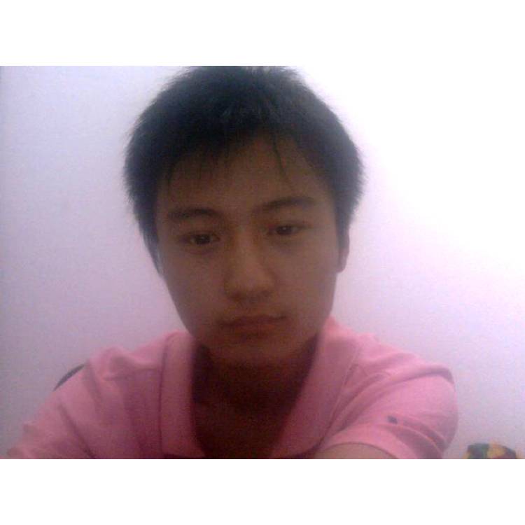昏睡等于犀牛的照片