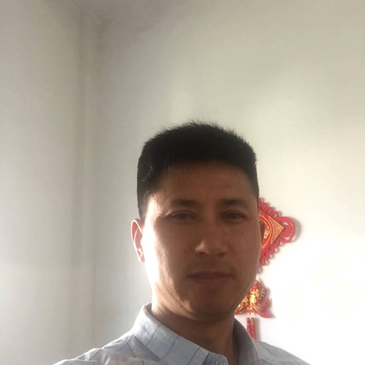 刺猬闻妩媚的照片