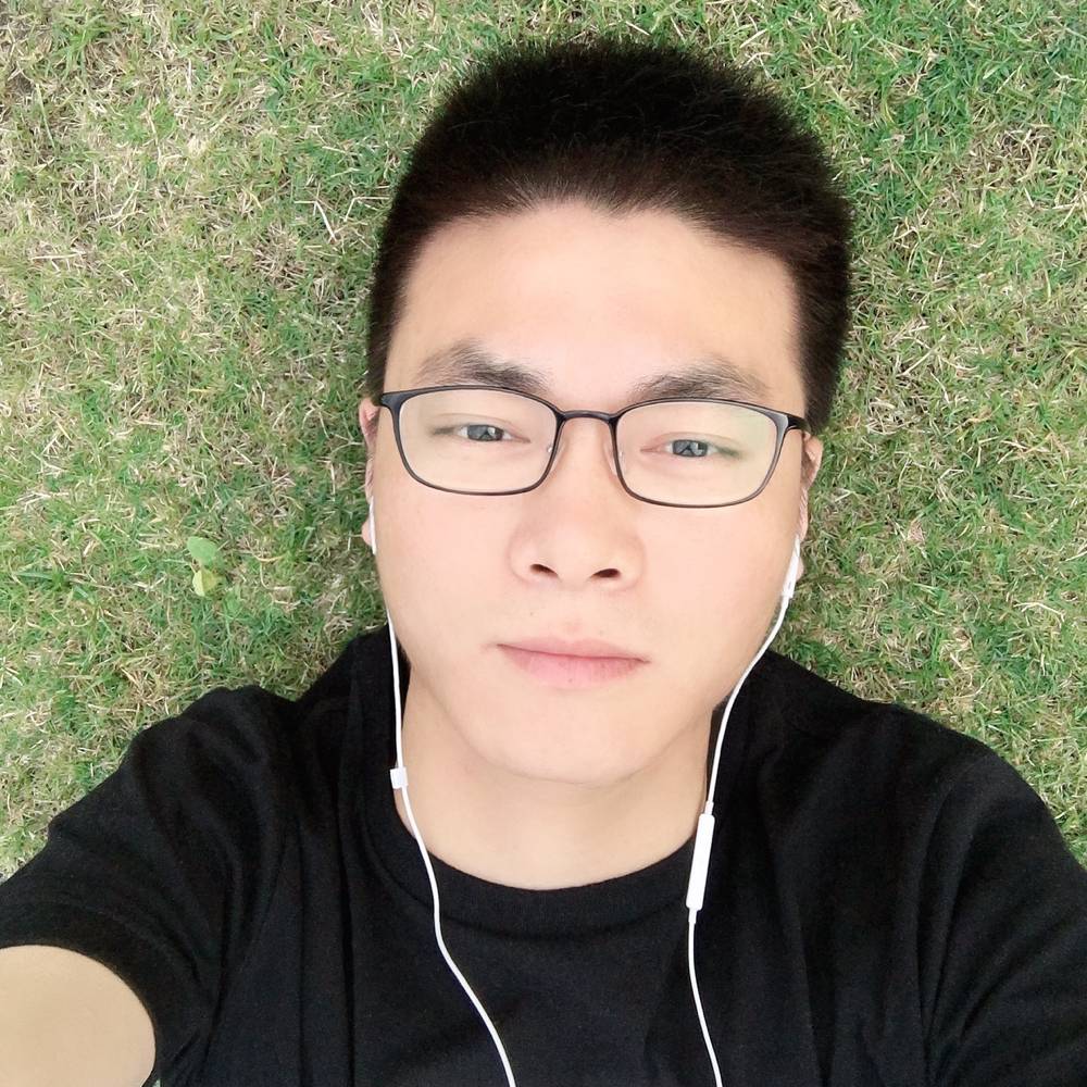 幻灭愿飞鸟的照片