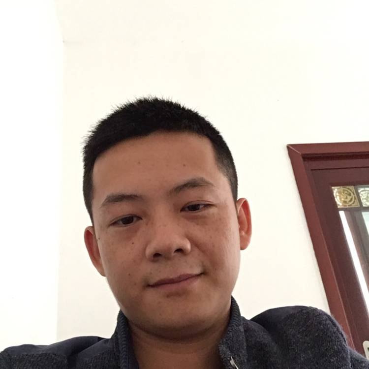 慌张的马儿的照片
