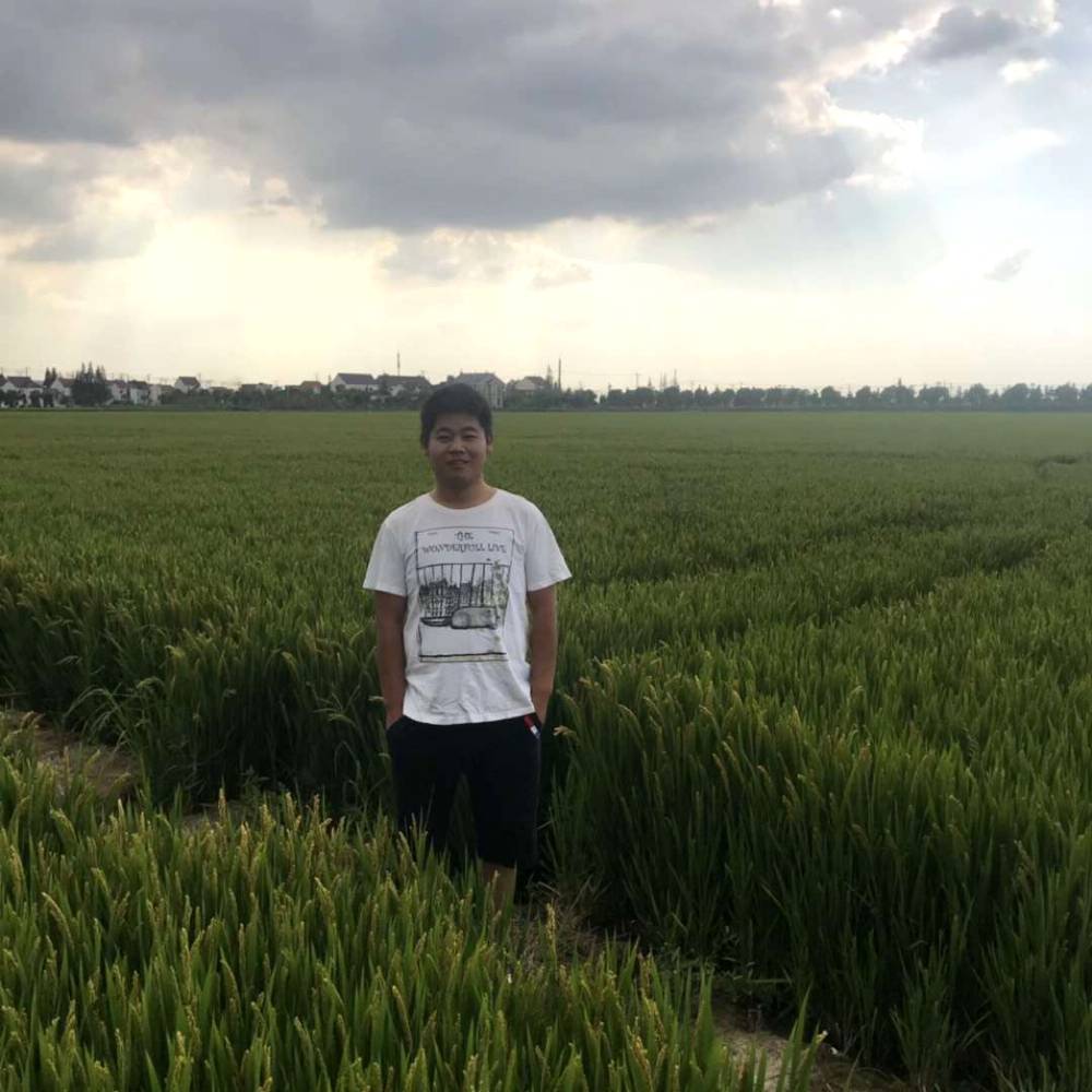 精明爱恋口红的照片