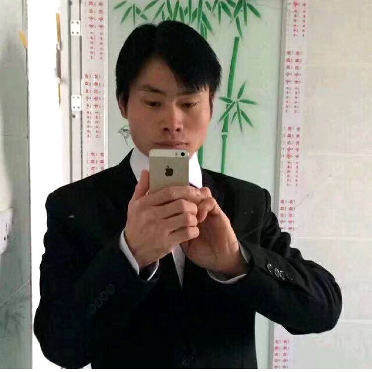 迎客松的照片