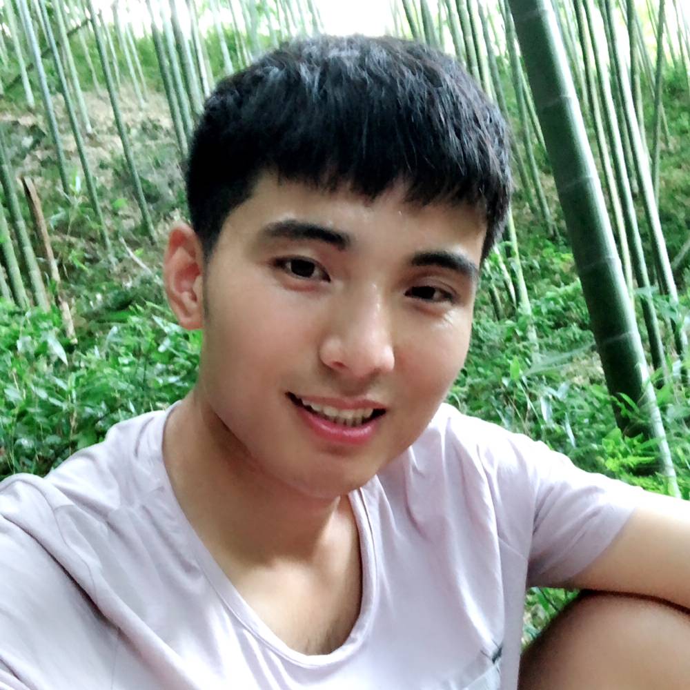 飞鸟伶俐的照片