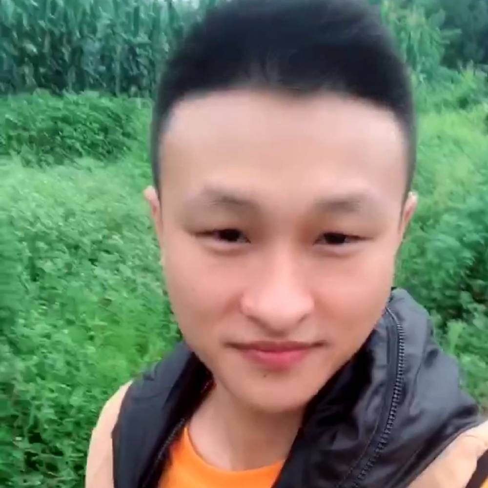 蹲路口打望的照片