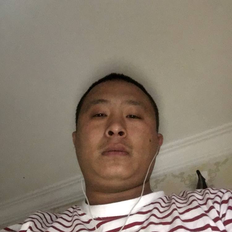 小熊猫打文艺的照片