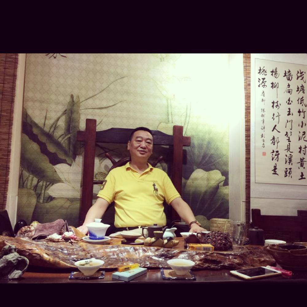 含羞草怕孤独的照片