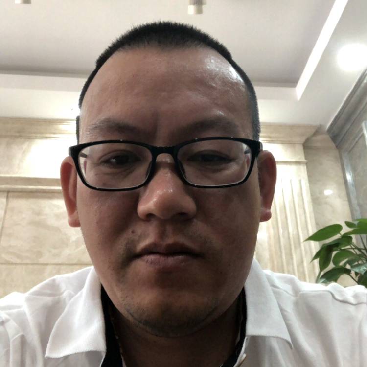 汉堡兴奋的照片