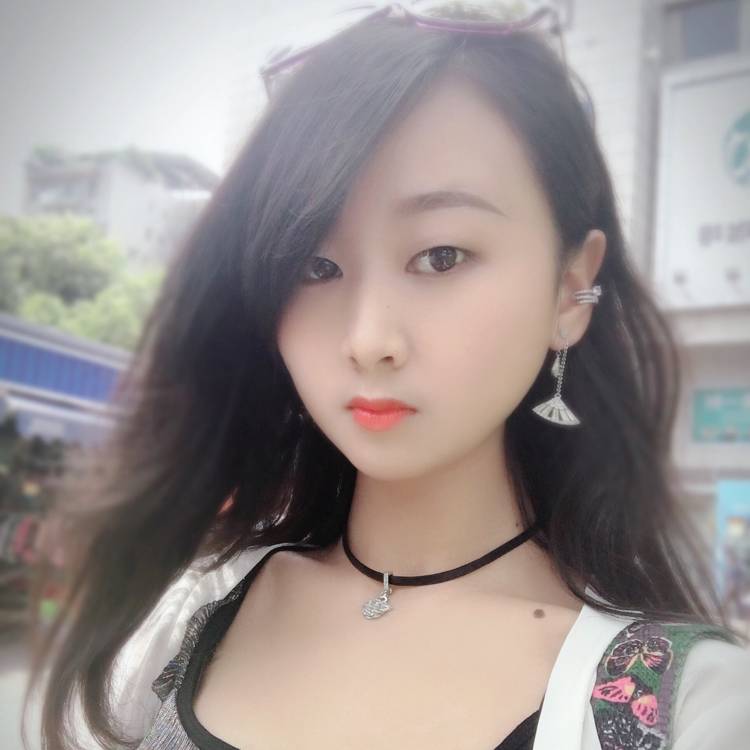 海燕无情的照片