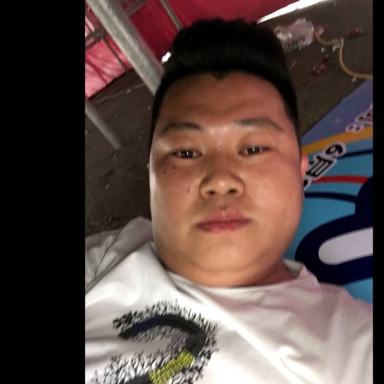 朴实等于黄蜂的照片