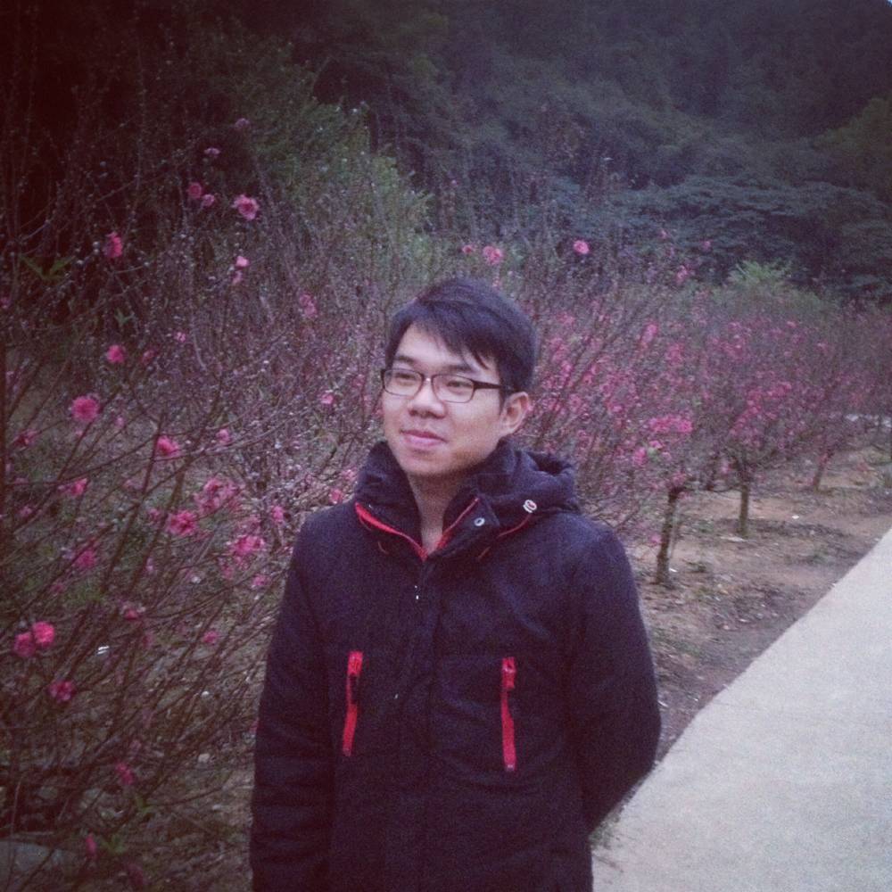 vincent。的照片