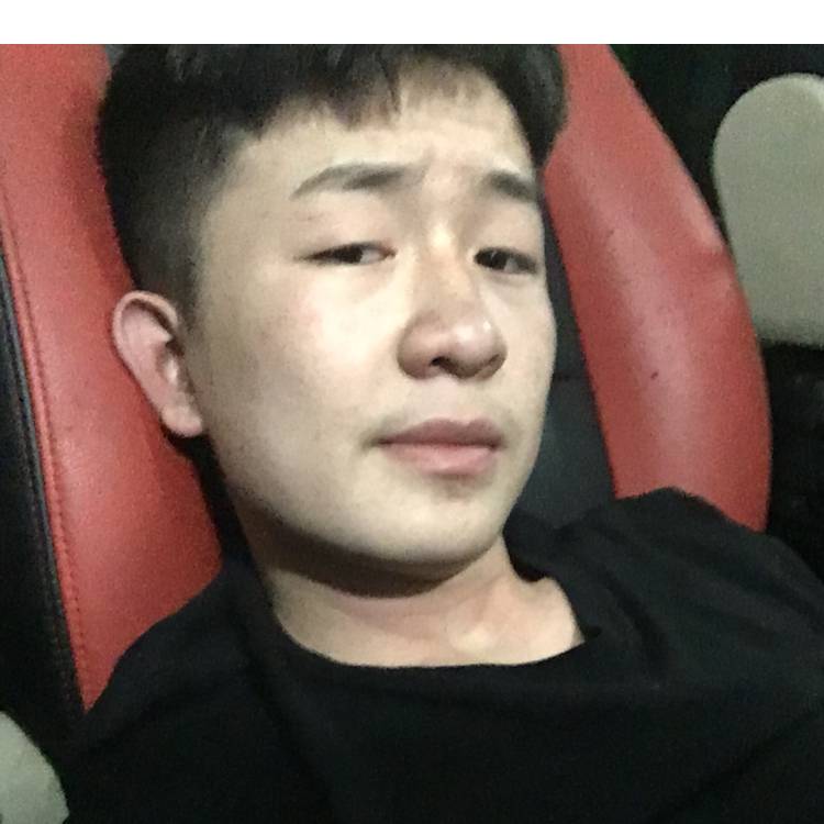 灰狼不安的照片