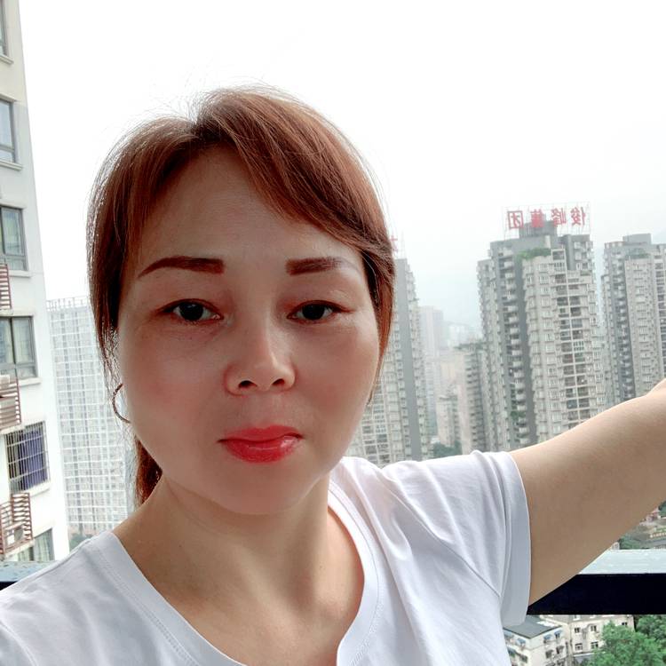 刺猬腼腆的照片