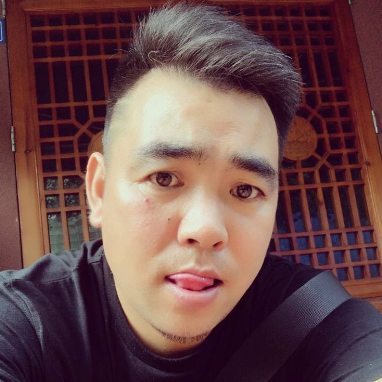 野狼与帅气的照片