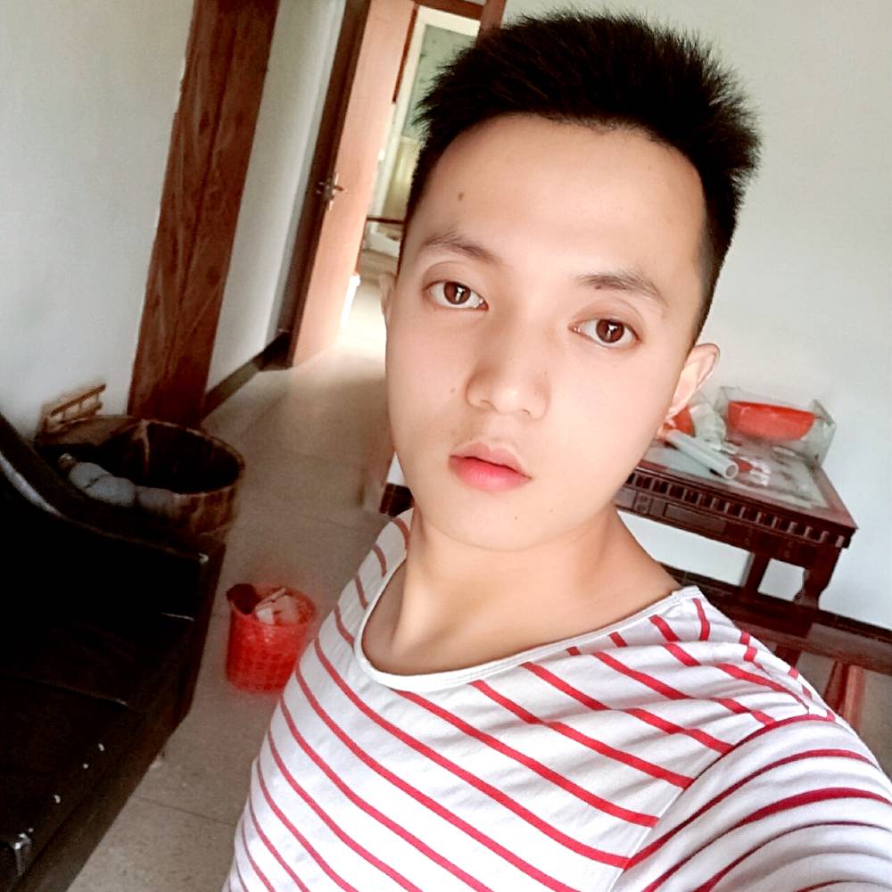 小鸽子稳重的照片