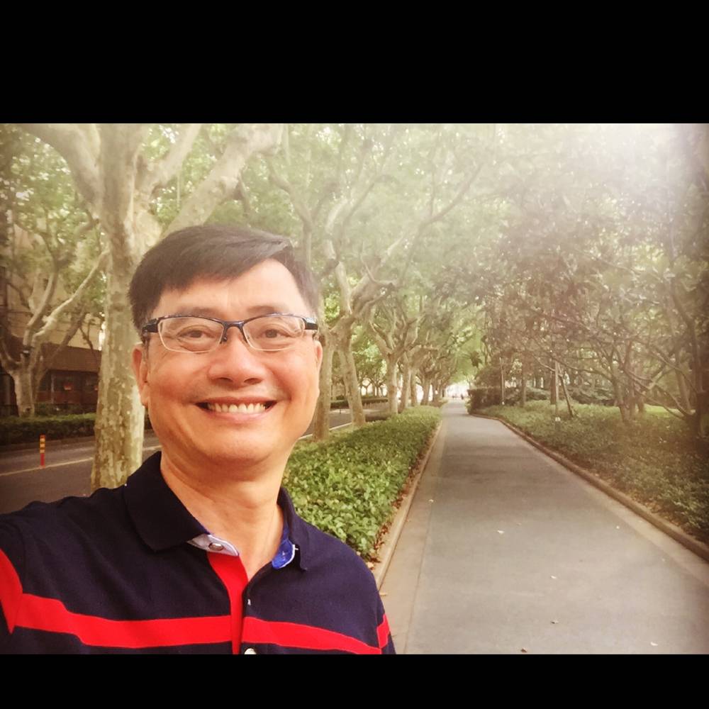 蓝天白云鹤的照片