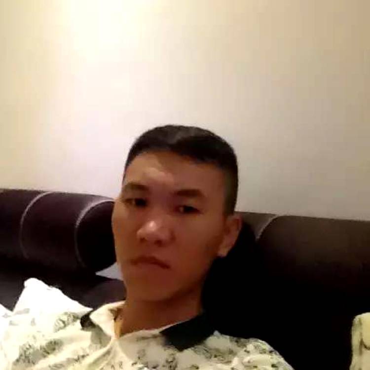 迷路等待绿草的照片