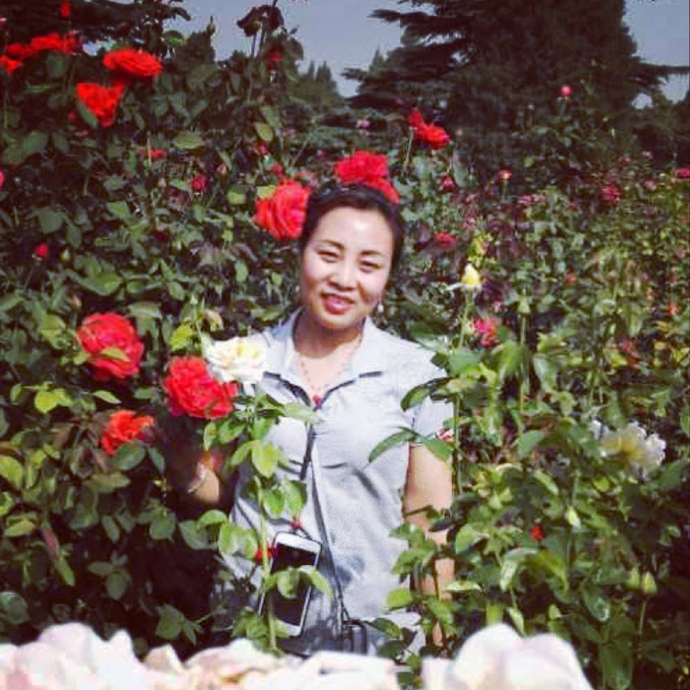 蝴蝶兰的照片