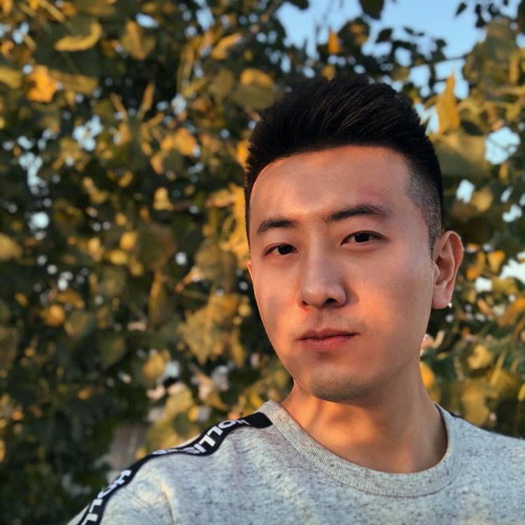 长颈鹿激昂的照片