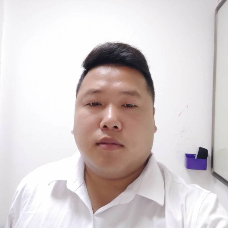 大象风中的照片