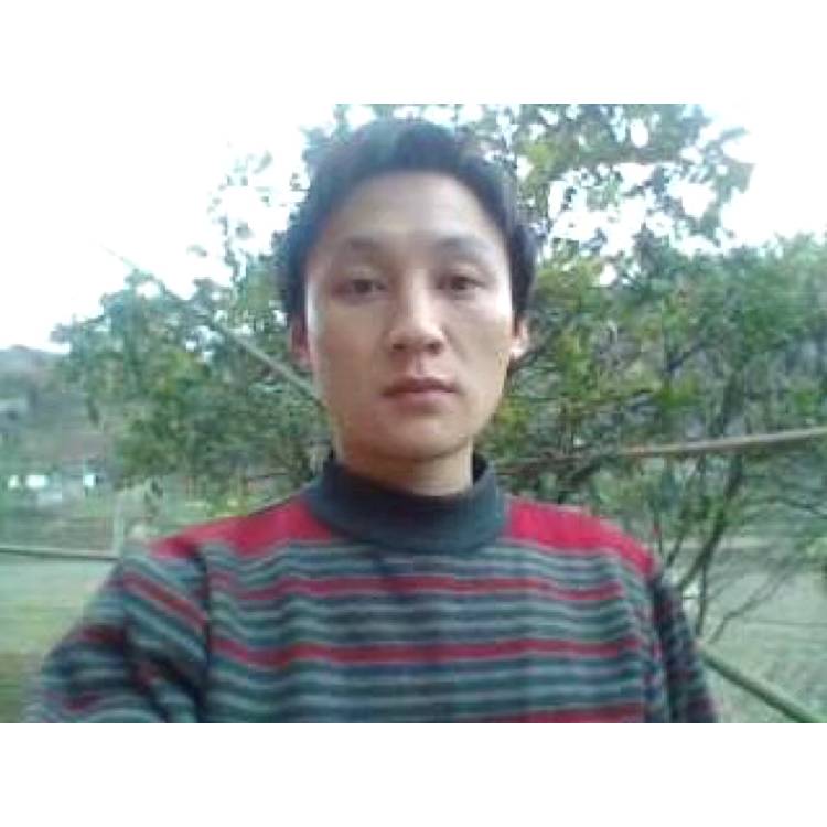 无情等于麦片的照片