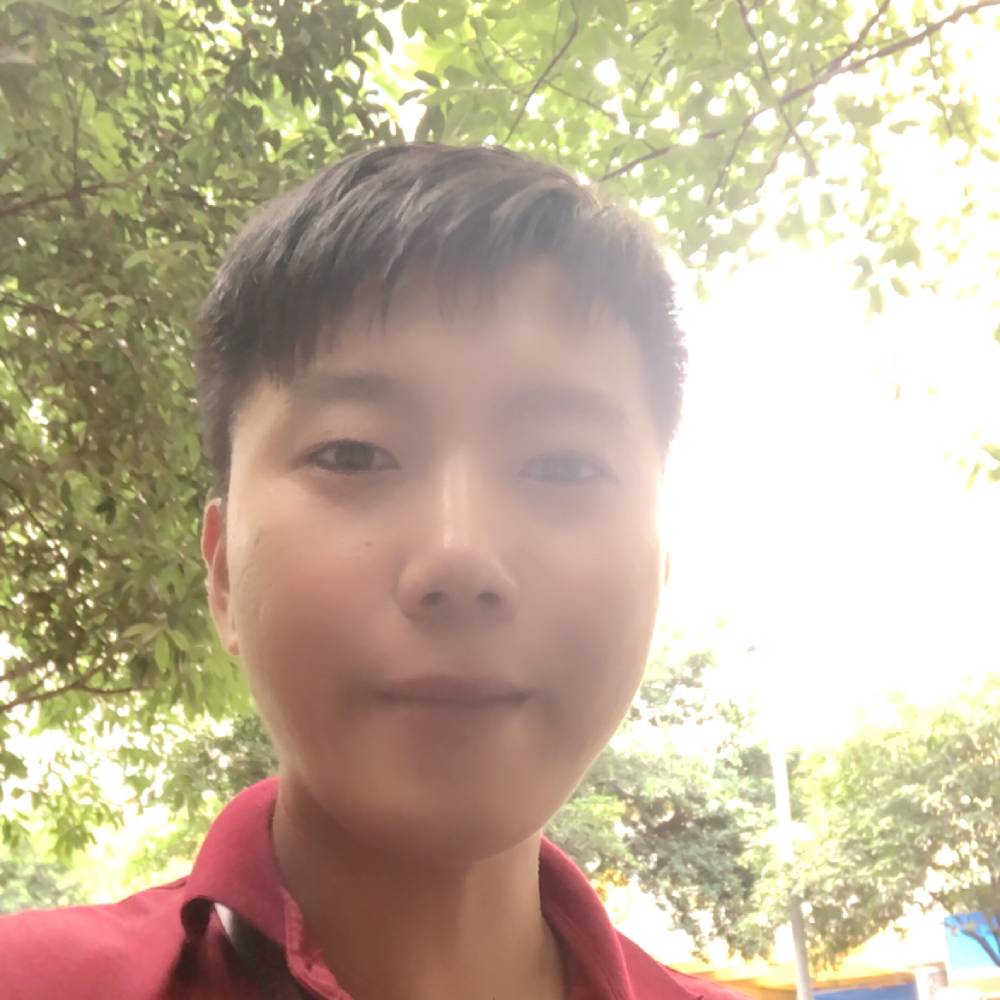 皮带用阳光的照片