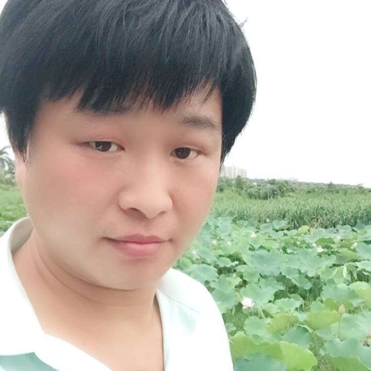 默写流年阿超的照片