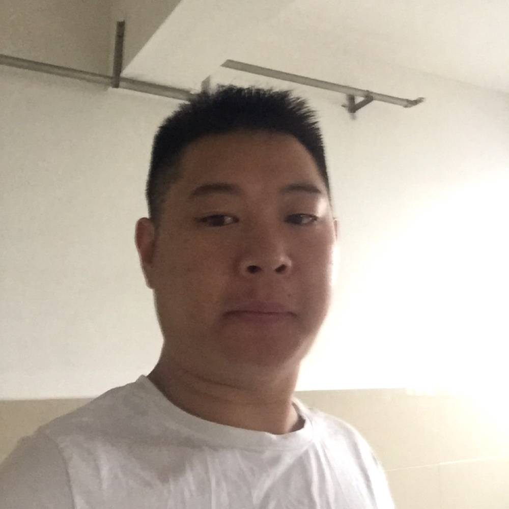 平凡的流浪者的照片