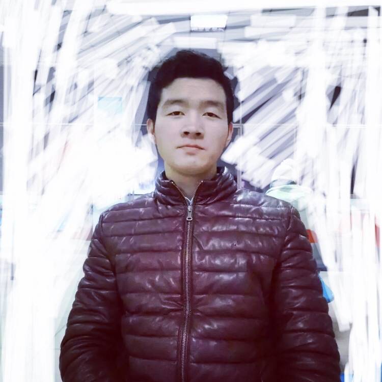 绿叶光的照片