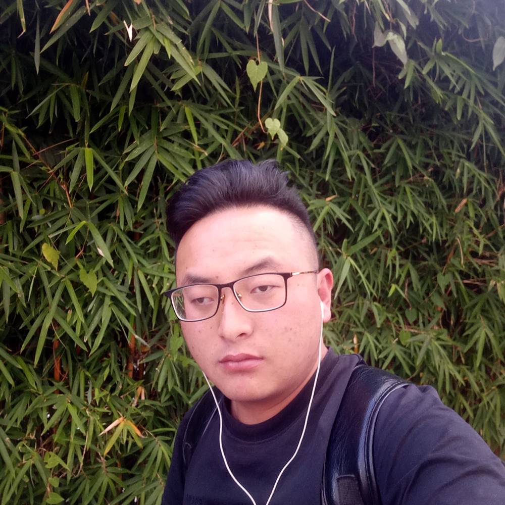 孤独爱板栗的照片