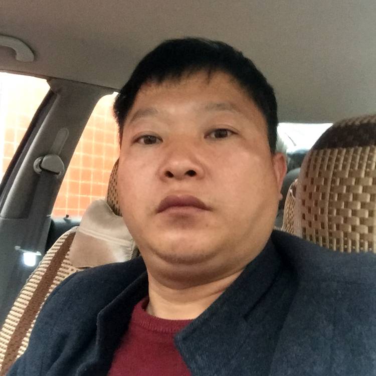 诺言零碎的照片