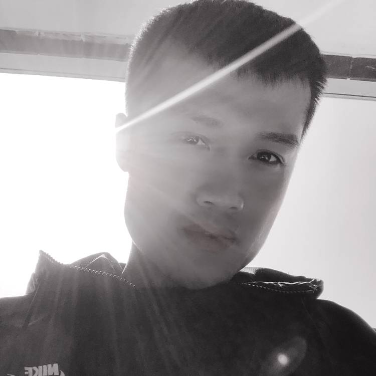 不翼而飞的照片