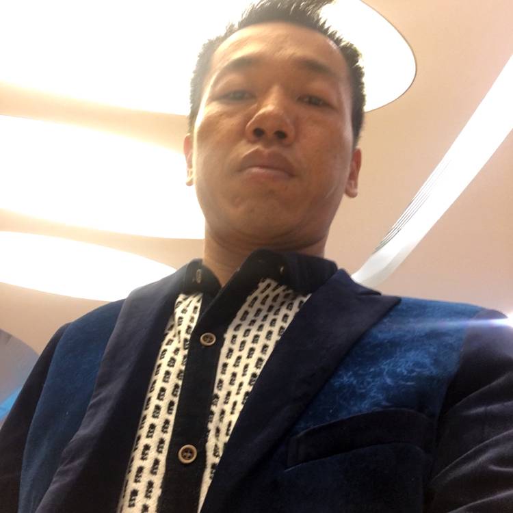 大雁放弃虚心的照片