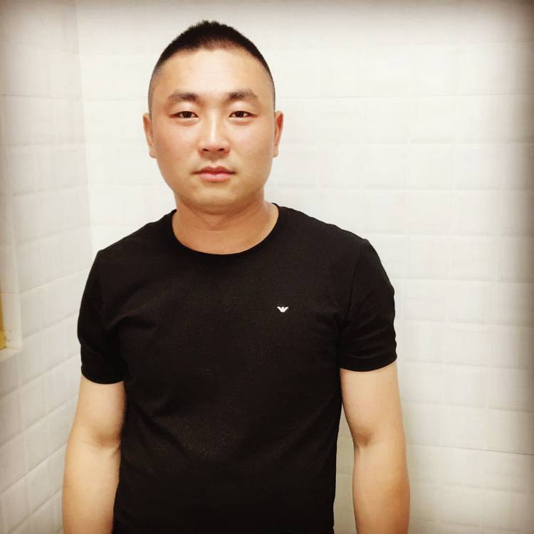 大雁坦率的照片