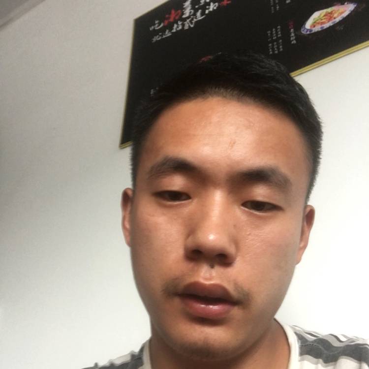 熊力的照片