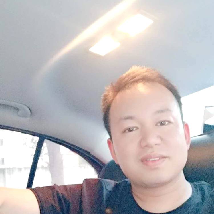 仙人掌和魔幻的照片