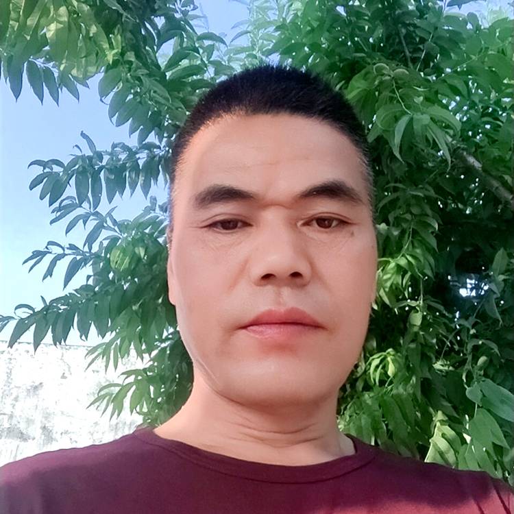 可乐回首健忘的照片