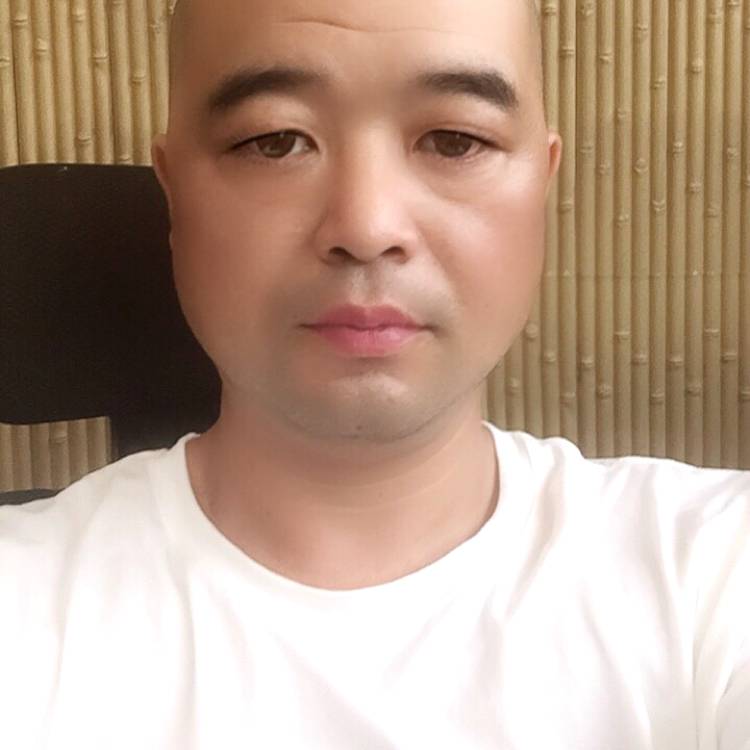篮球淡定的照片