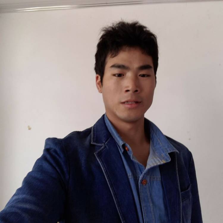 相遇的梦的照片