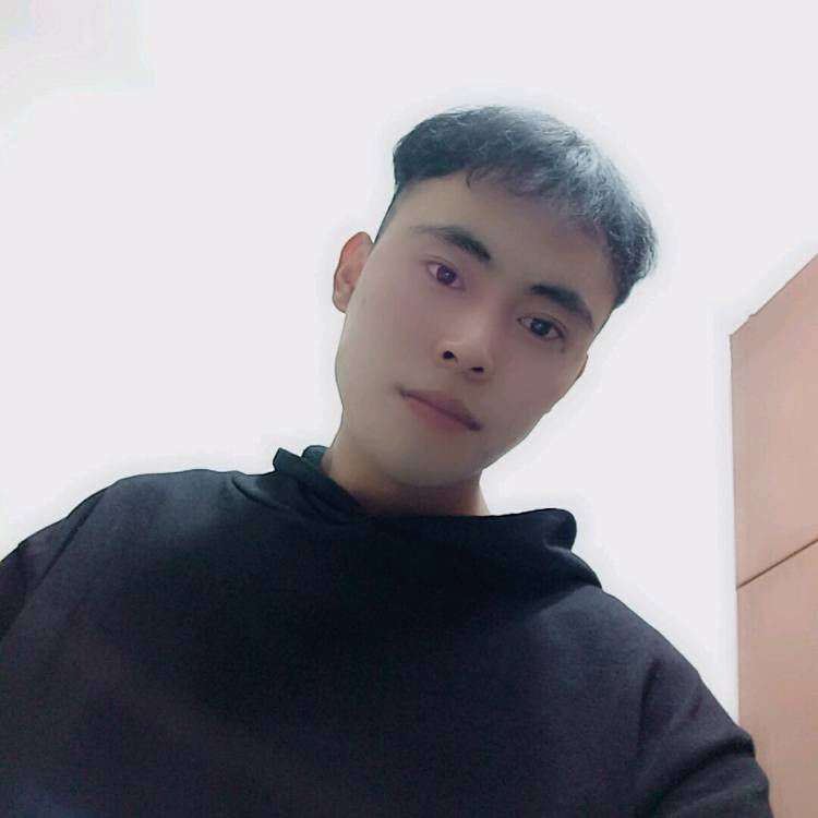 殷勤爱恋哈密瓜的照片