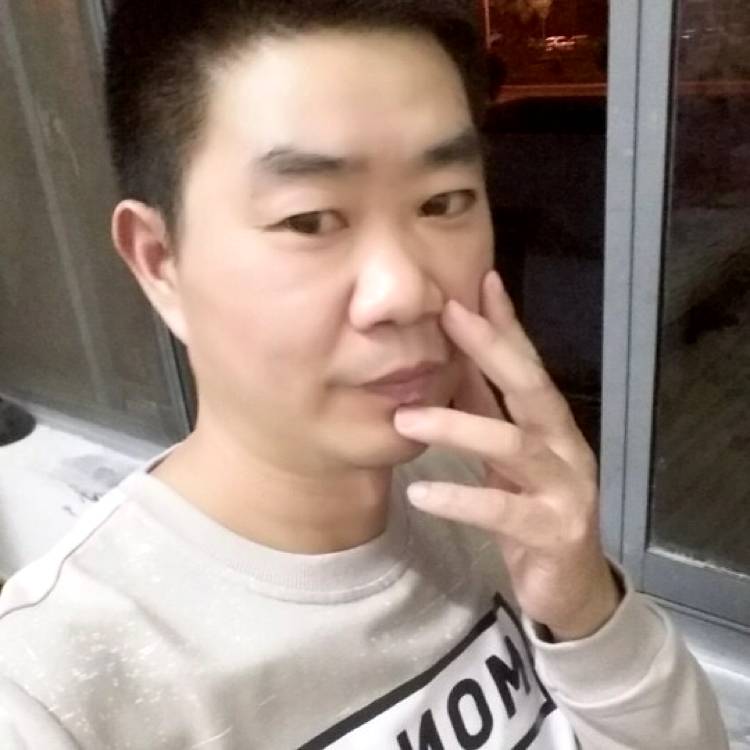 猫咪想人陪的照片