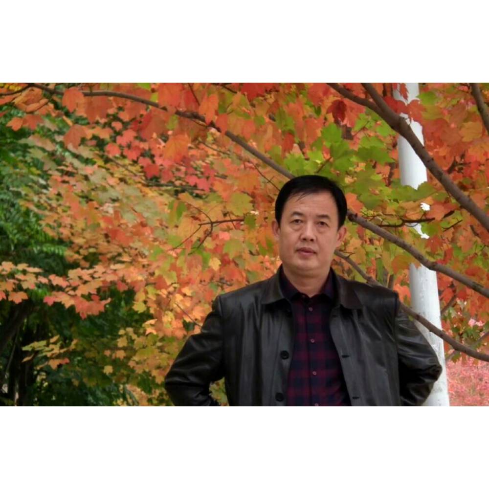 宾智的照片