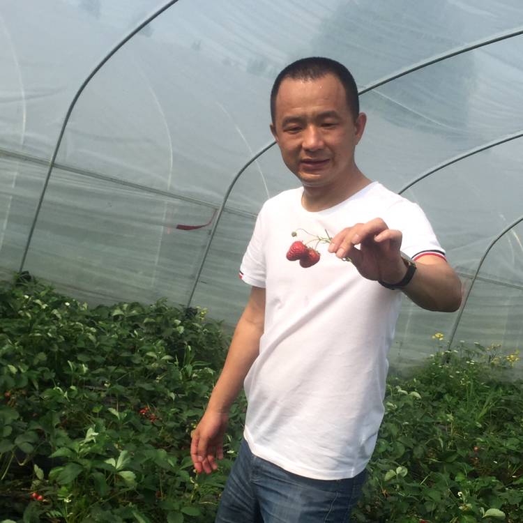 小馒头痴情的照片